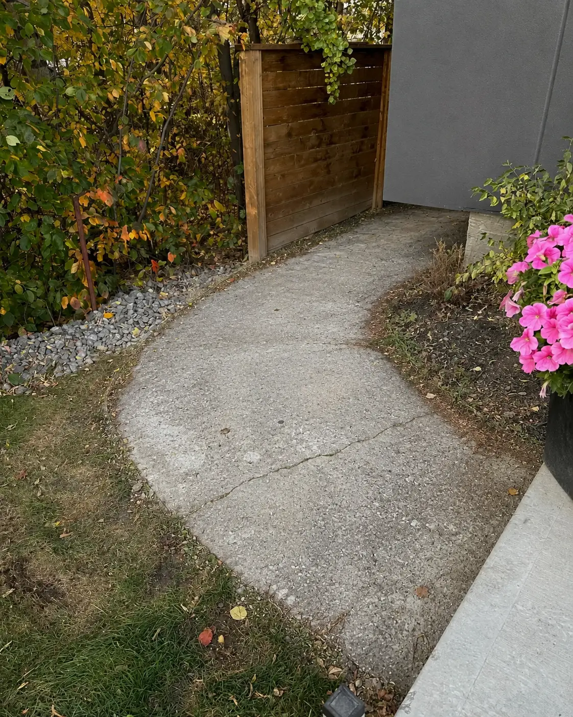 Urban Backyard Makeover before transformation